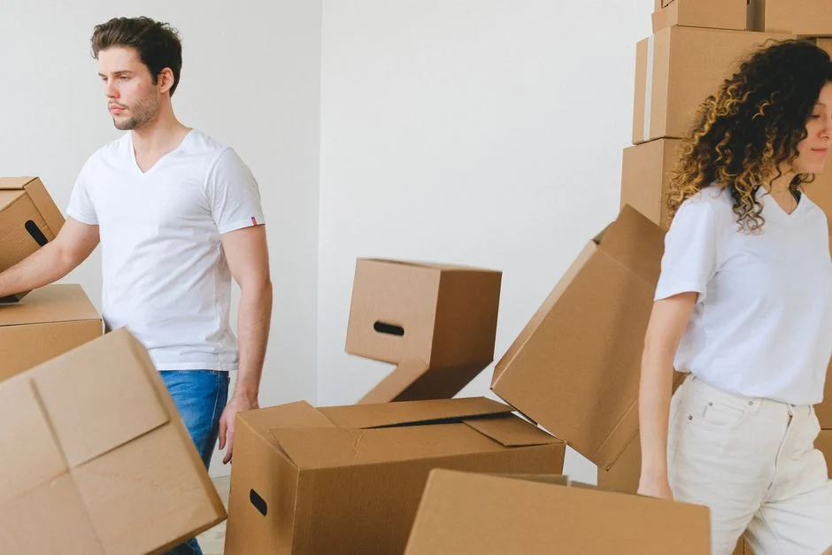 Seedz Investments courier transport on the road